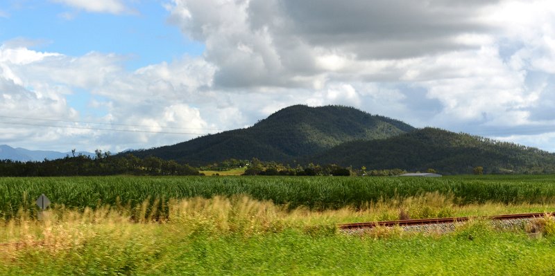 DSC_0030a.JPG - Whitsunday cane fields