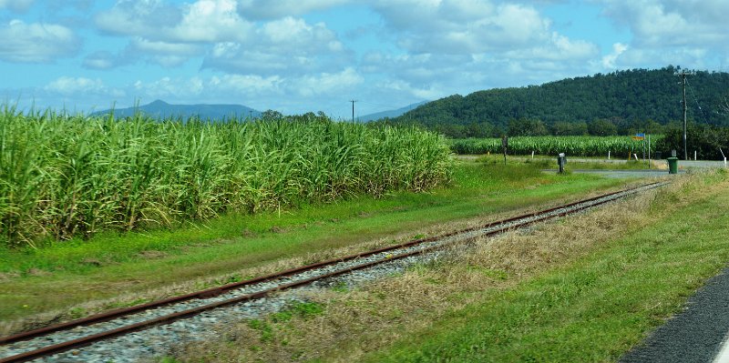 DSC_0010.JPG - Approaching Bowen; narrow gauge cane train tracks