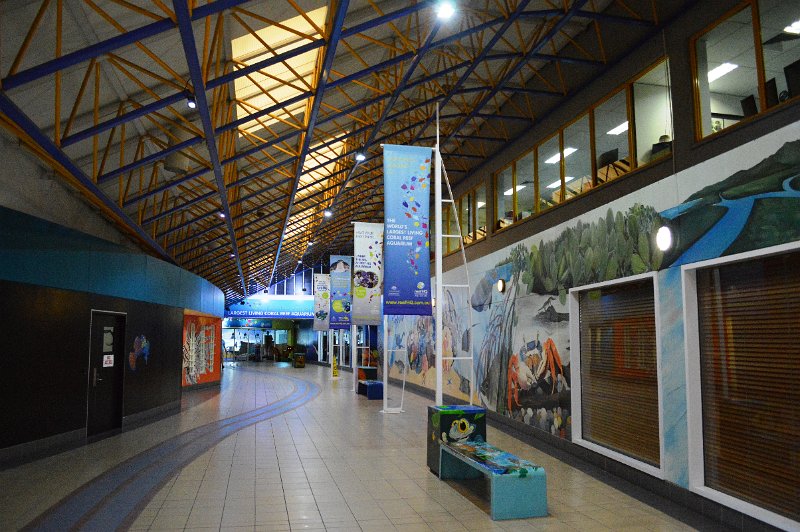 DSC_0131.JPG - Townsville centre - Reef HQ