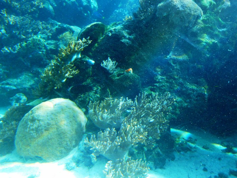 DSCN1677.JPG - Townsville; Great Barrier Reef Aquarium (Reef HQ)