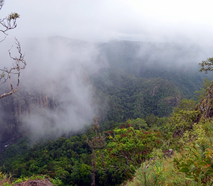 14InghamPan04.JPG - Wallaman Falls was clouded over when we arrived but cleared a little while we were there.