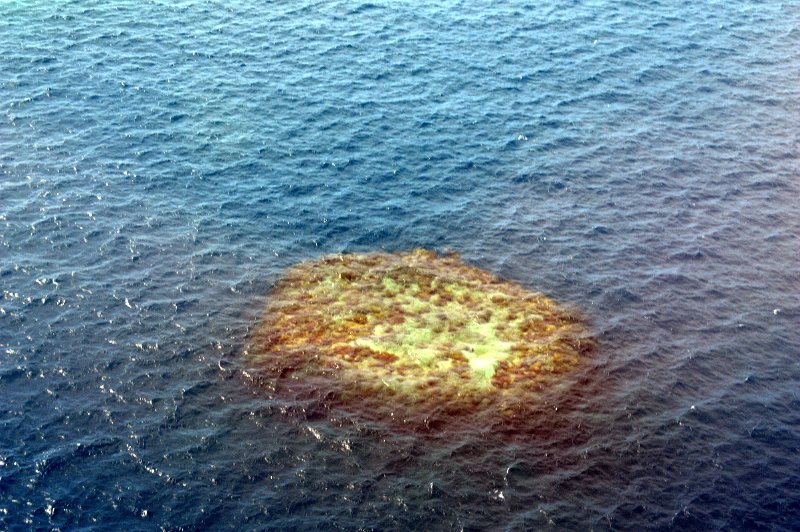 DSC_0098.JPG - Moore Reef - chopper flight