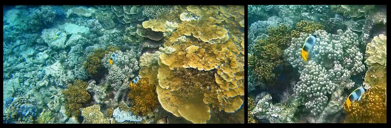 FromMovies.jpg - Snorkelling at Moore Reef