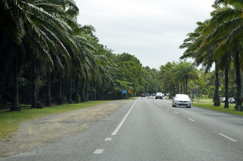 DSC_0034.JPG - Port Douglas