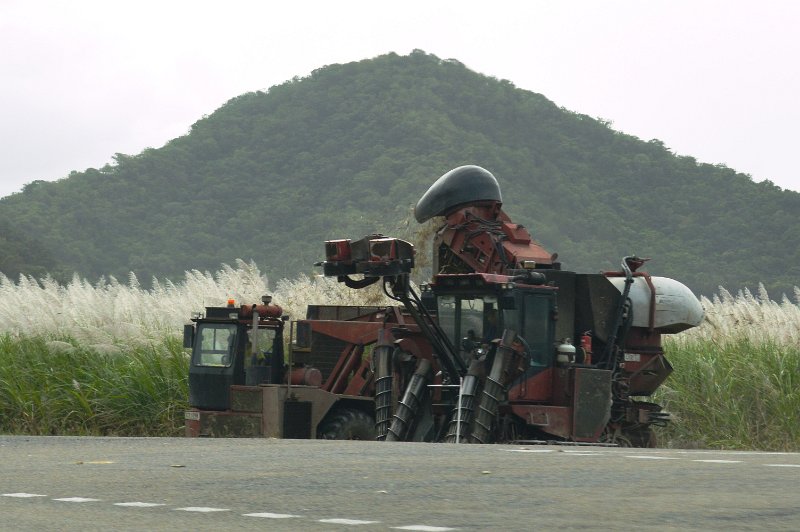 DSC_0062.JPG - Approaching Mossman and sugar harvest has just started