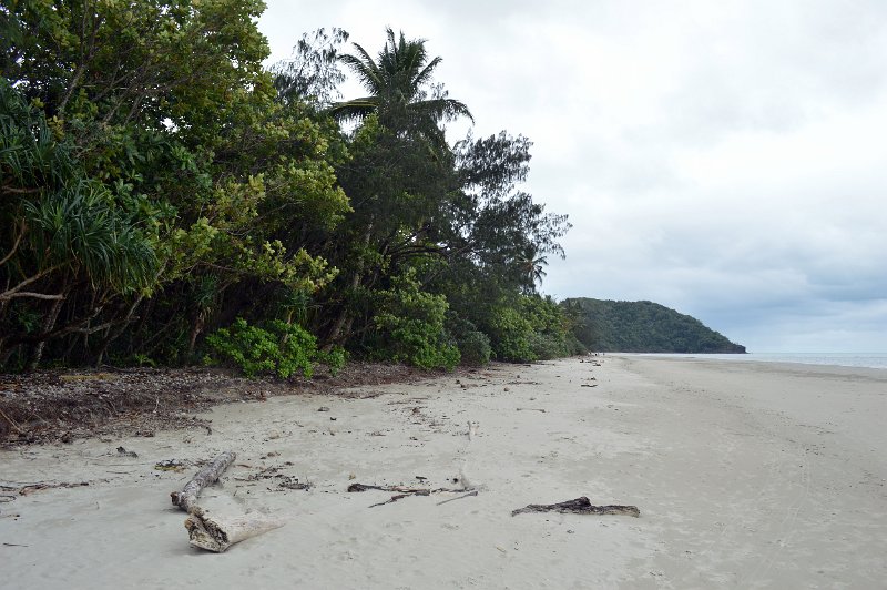 DSC_0141.JPG - Daintree Coast - Cape Tribulation