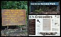 02Daintree16
