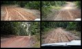 02Daintree24
