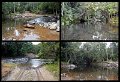 02Daintree26