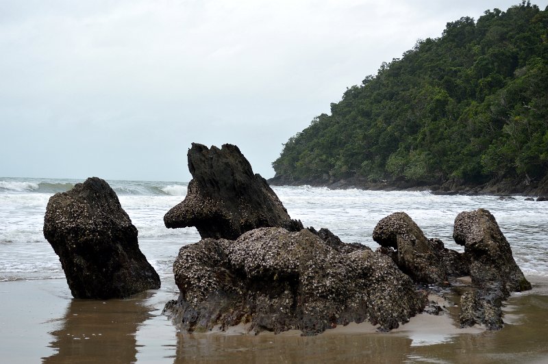 DSC_0086.JPG - Cassowary Coast - Etty Bay
