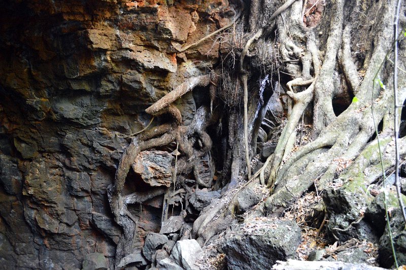 DSC_0055.JPG - Undara - Stephenson Lava Tube