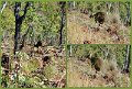 16Undara14