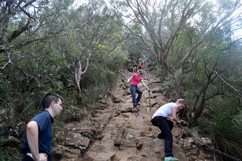 DSC_0029.JPG - Wollumbin Mount Warning - the final steep rock scramble; thankfully with the help of a chain