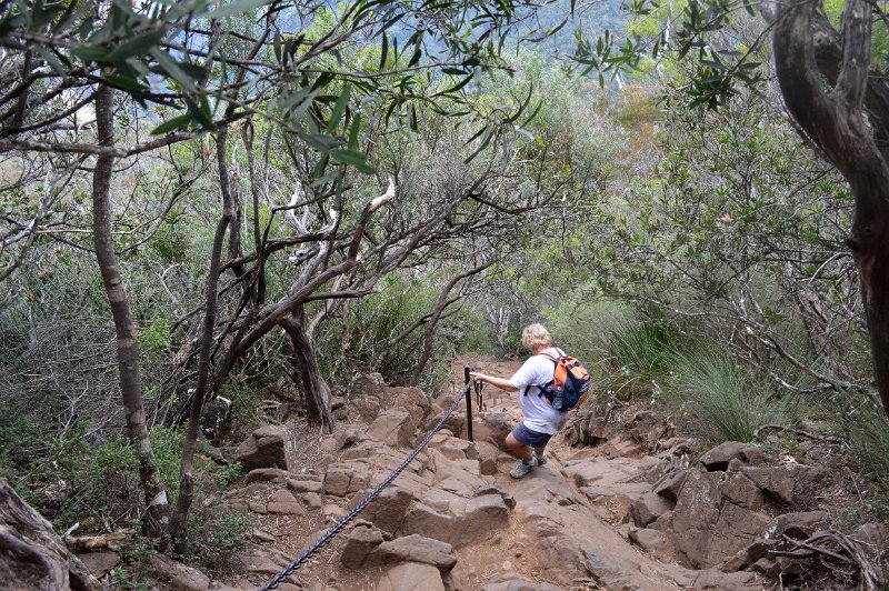 DSC_0051.JPG - Wollumbin Mount Warning - descending the final steep rock scramble