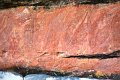 DSC_0015a