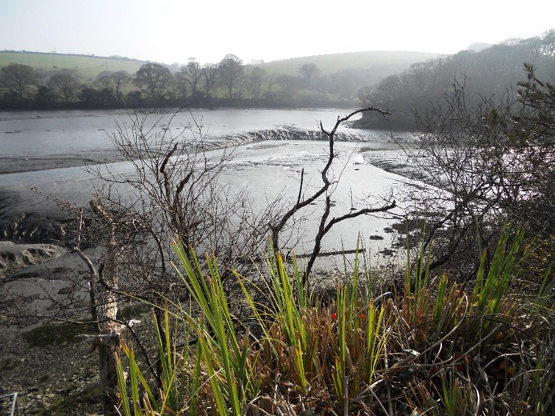 DSCN0509.JPG - Seal Sanctuary, at  Gweek
