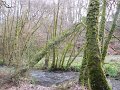 DSCN0565