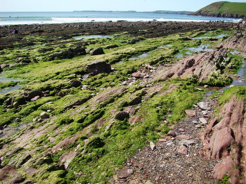DSC02379.JPG - Manorbier Beach