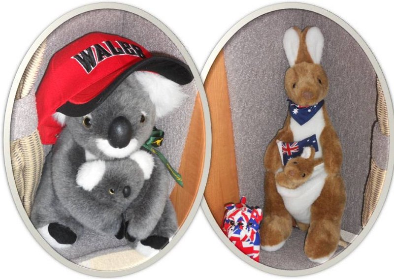 Mascots.jpg - Our Mascots