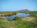 DSC02406