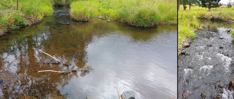 WayWorld2.jpg - Our camp site is beside the upper reaches of the Albert River